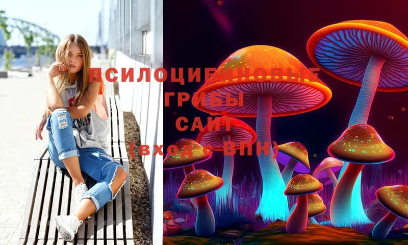 Псилоцибиновые грибы Psilocybe  Георгиевск 